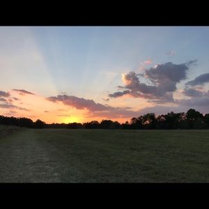 Meet your Posher, Warren